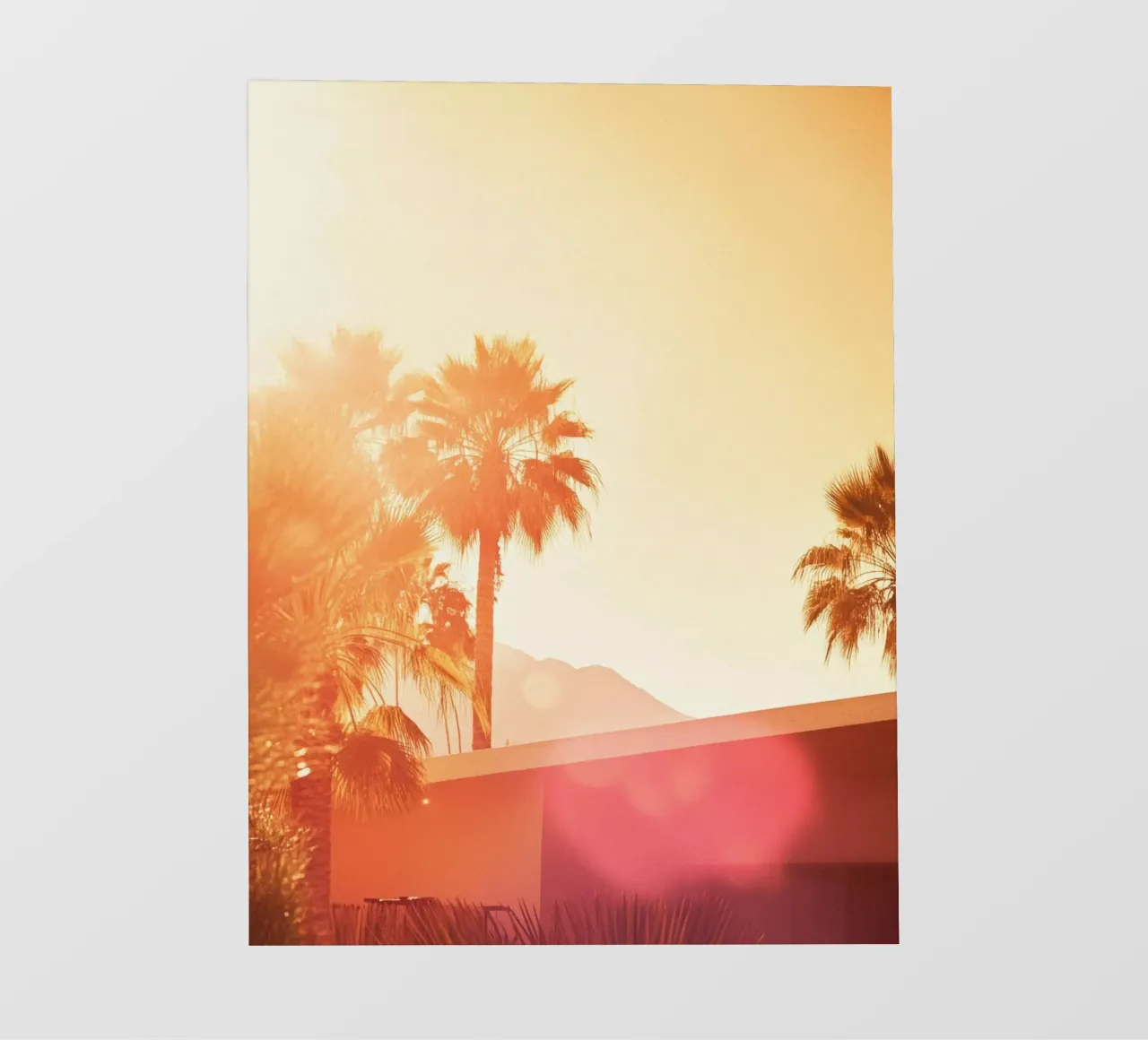 Palm Spring lonas publicitarias de Affiches Minimalistes
