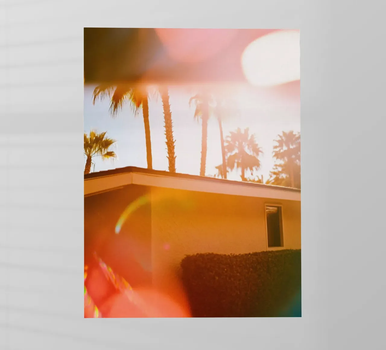Blur & Palm Spring pellicola backlit da Minimalistic