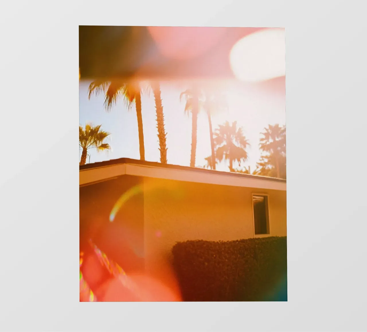 Blur & Palm Spring telo in pvc da Affiches Minimalistes