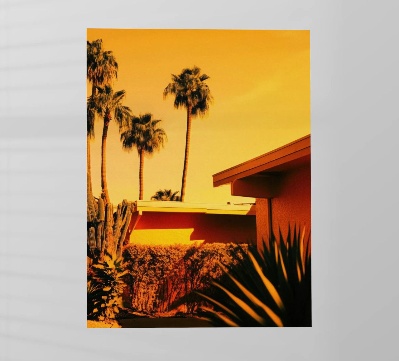 Sun & Palm Spring pellicola backlit da Minimalistic
