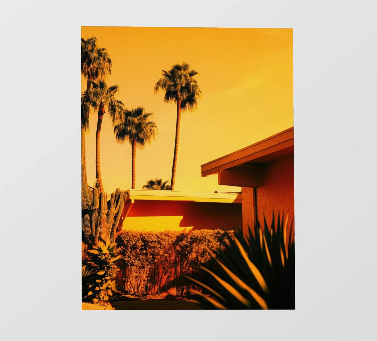 Sun & Palm Spring pellicola backlit da Minimalistic