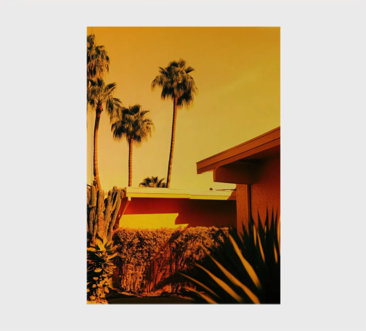 Sun & Palm Spring notebook by Affiches Minimalistes