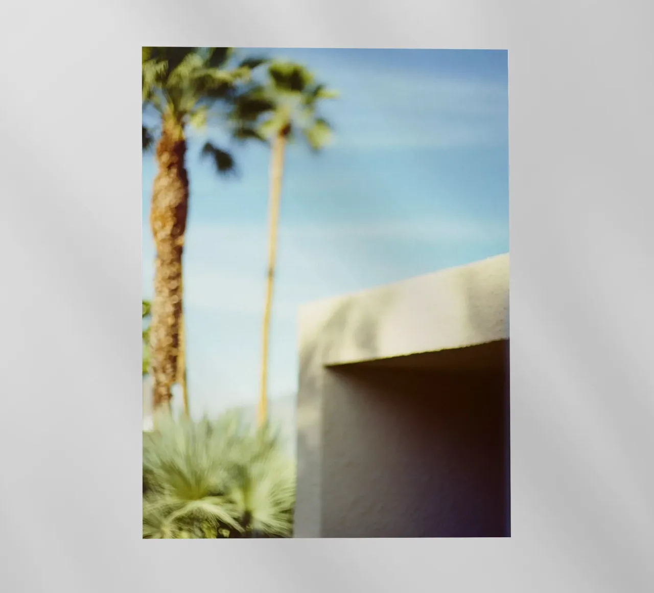Blue & Palm Spring pellicola backlit da Minimalistic