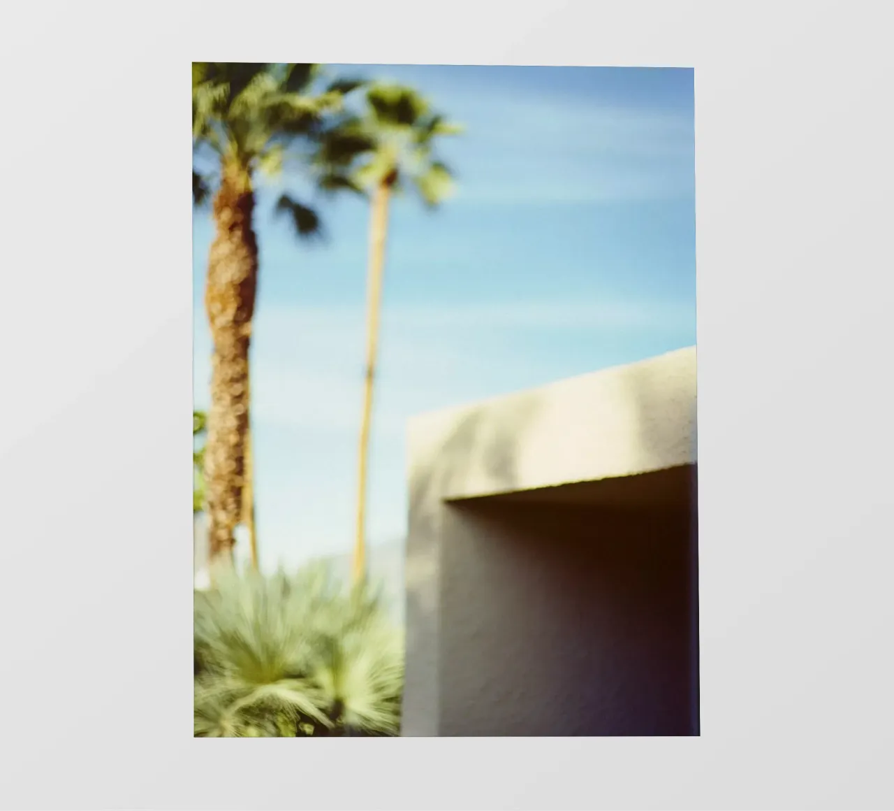 Blue & Palm Spring telo in pvc da Minimalistic