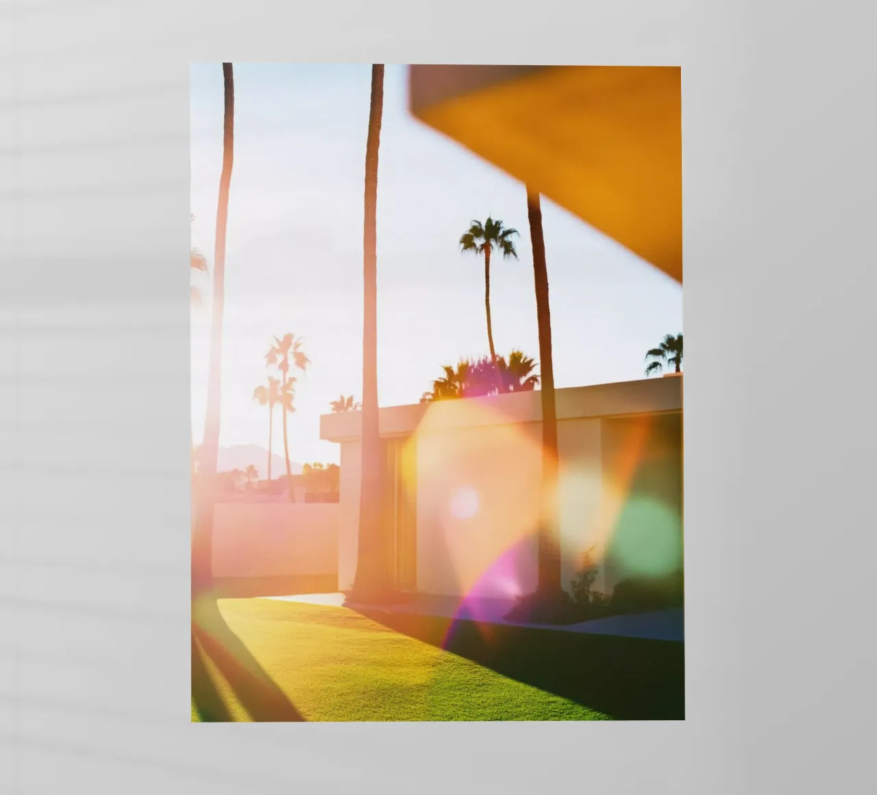 Flou & Palm Spring pellicola backlit da Affiches Minimalistes