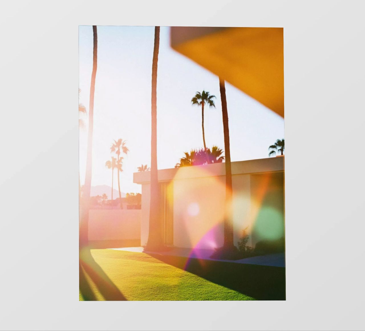 Flou & Palm Spring pellicola backlit da Minimalistic