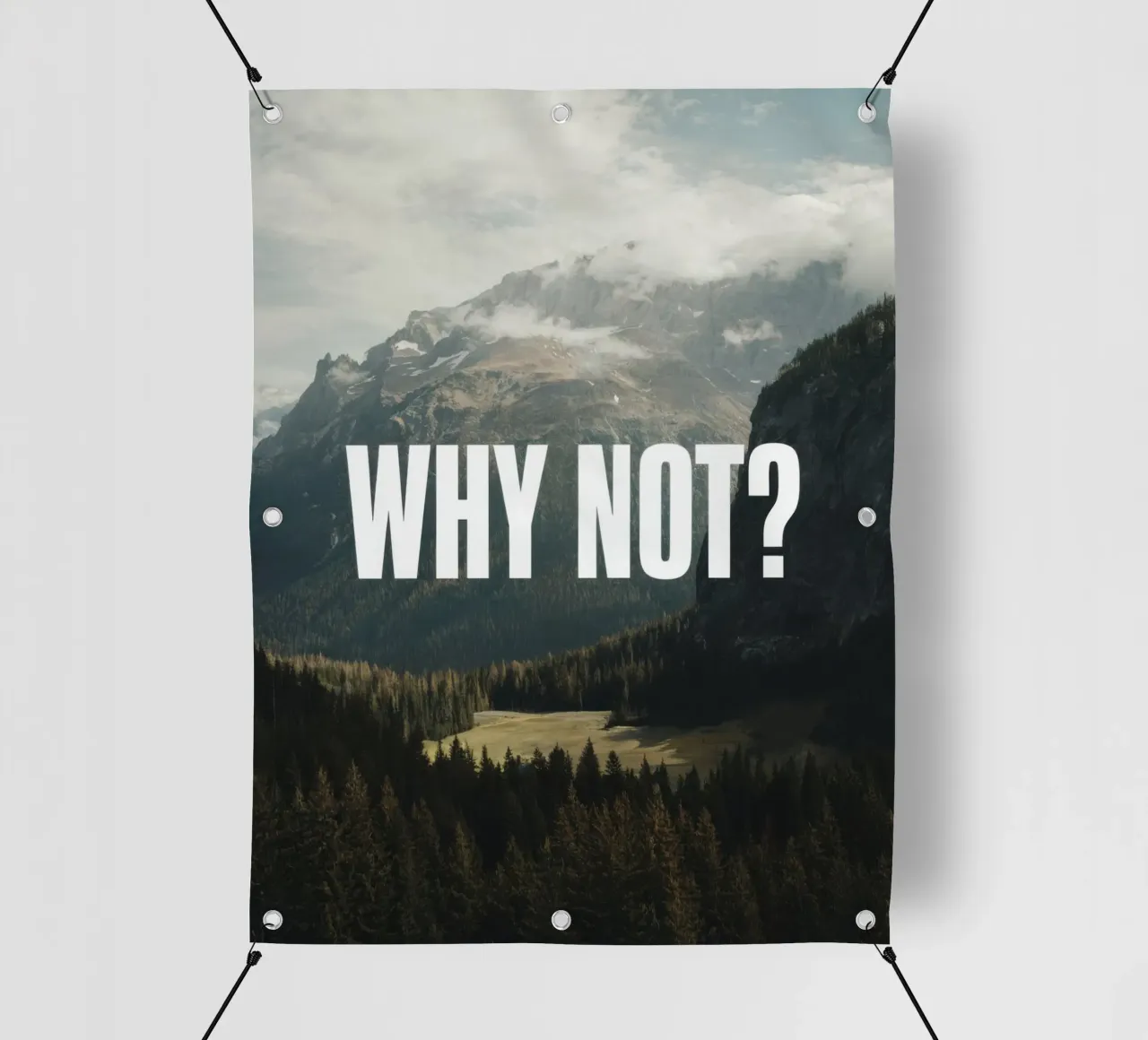 Why not telo in pvc da RB-Quotes