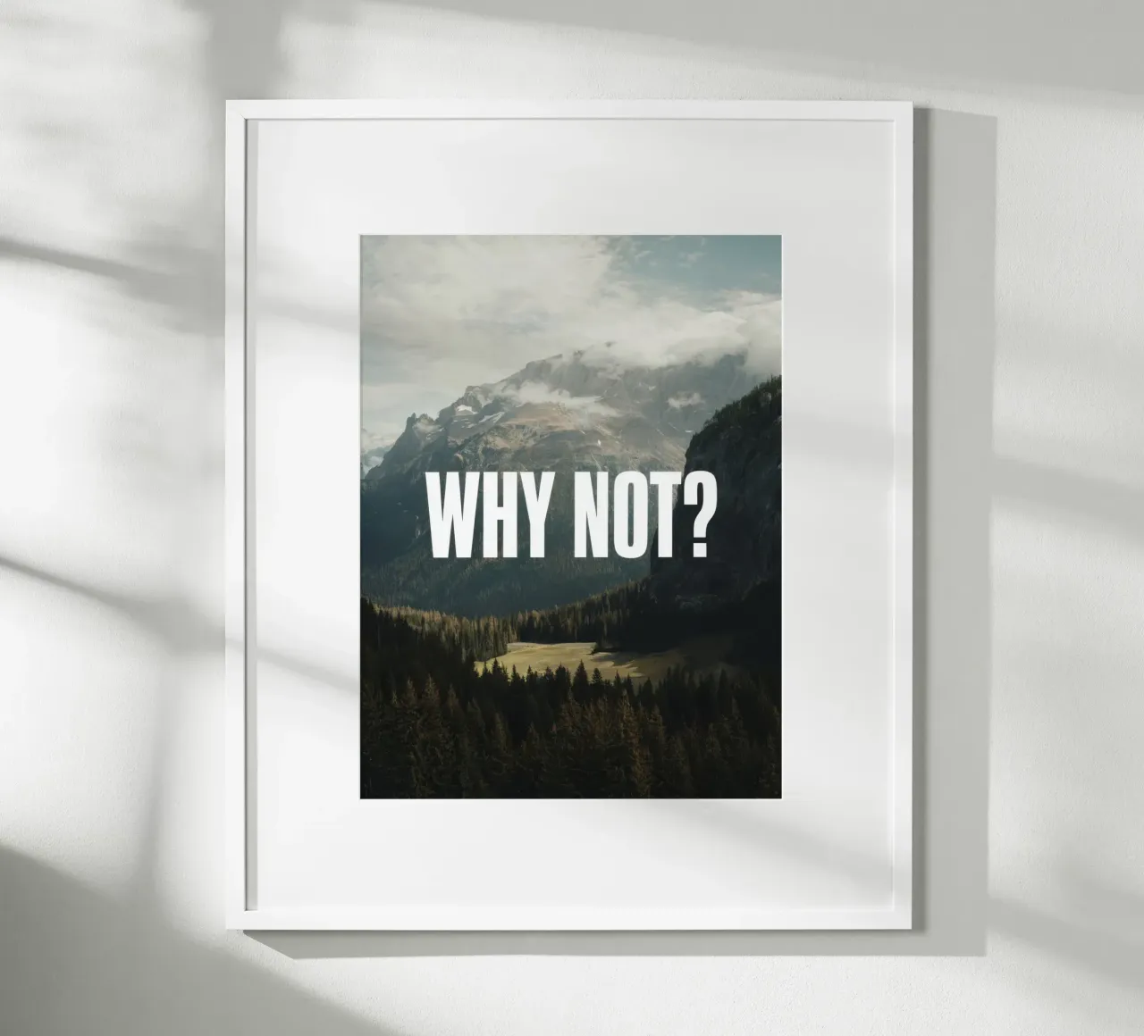 Why not carta hahnemühle da RB-Quotes