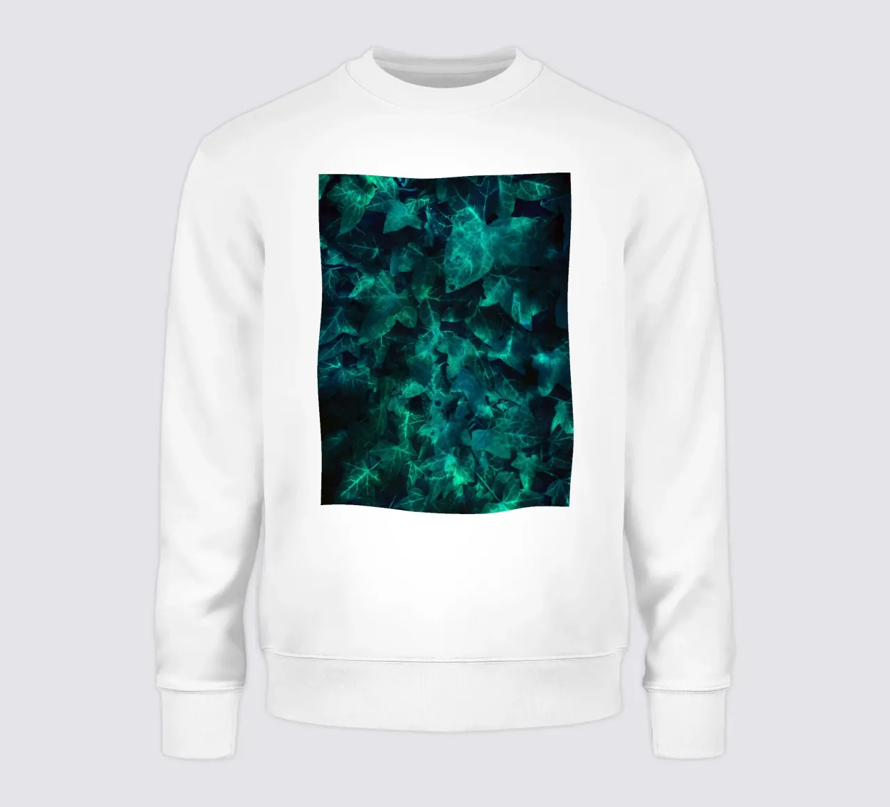 Ivy Teal felpa da Angelo Cerantola