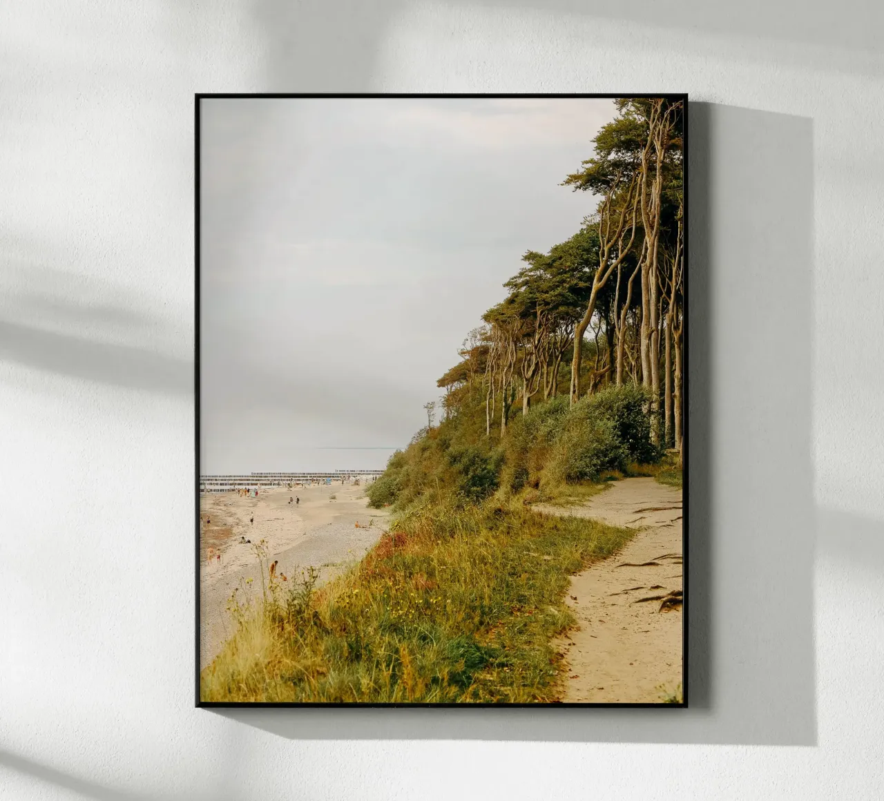 Foresta infestata plexiglass da Kudamm & Alpen