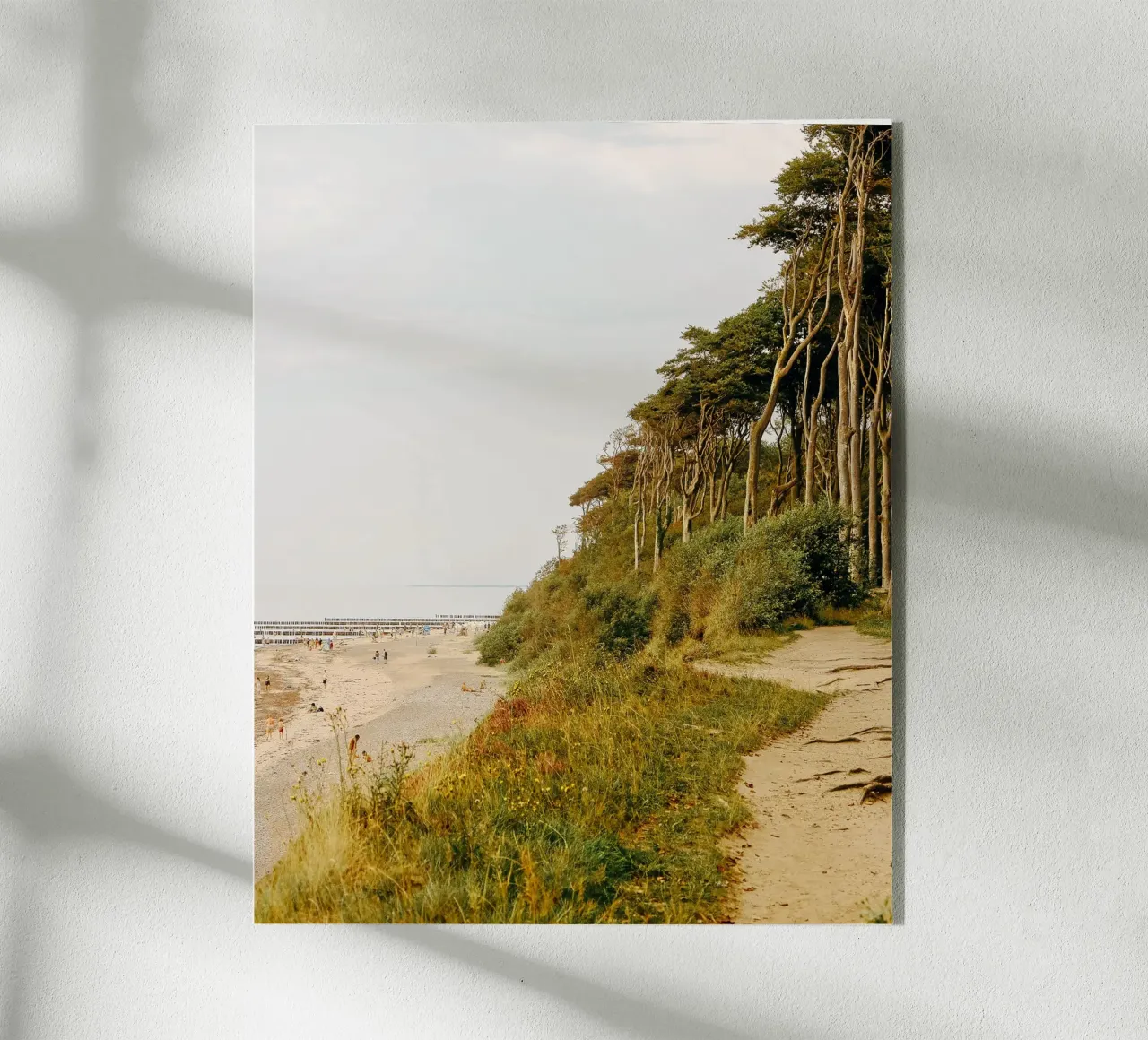 Foresta infestata plexiglass da Kudamm & Alpen