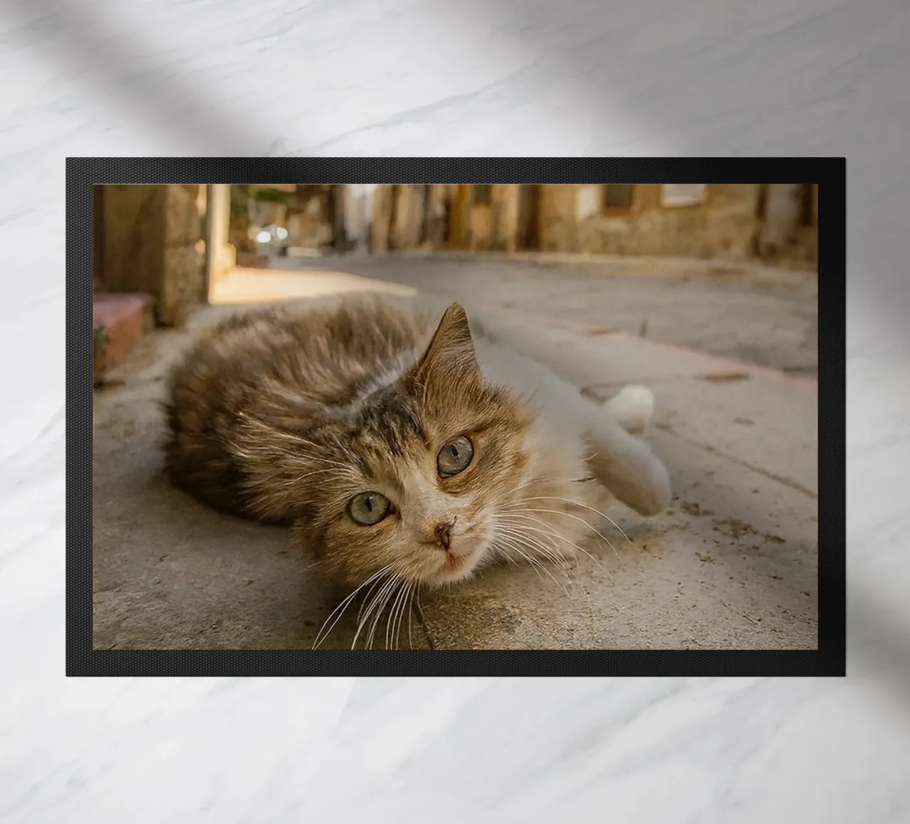 cat sleeping doormat by onelife