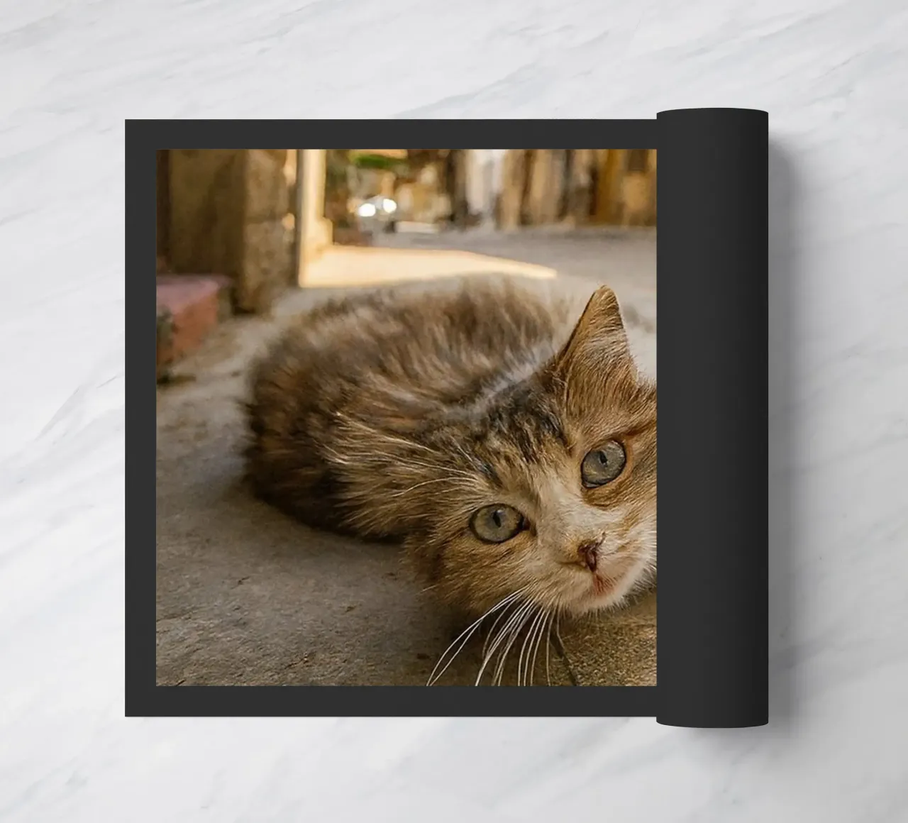 cat sleeping doormat by onelife