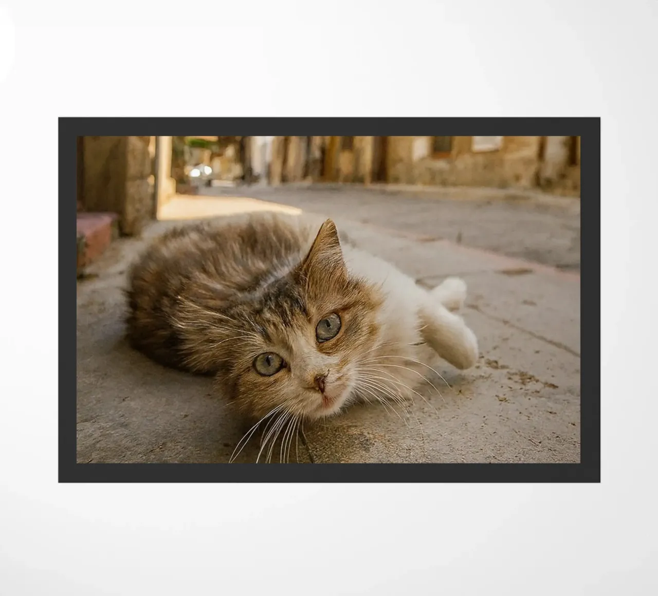 cat sleeping doormat by onelife