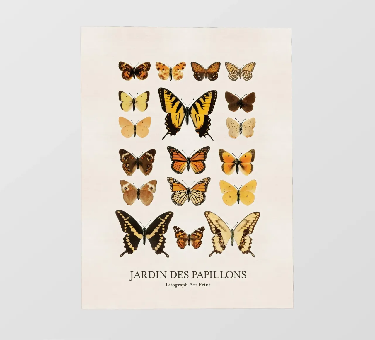 Butterfly Garden photo wallpaper by Rob Lewis