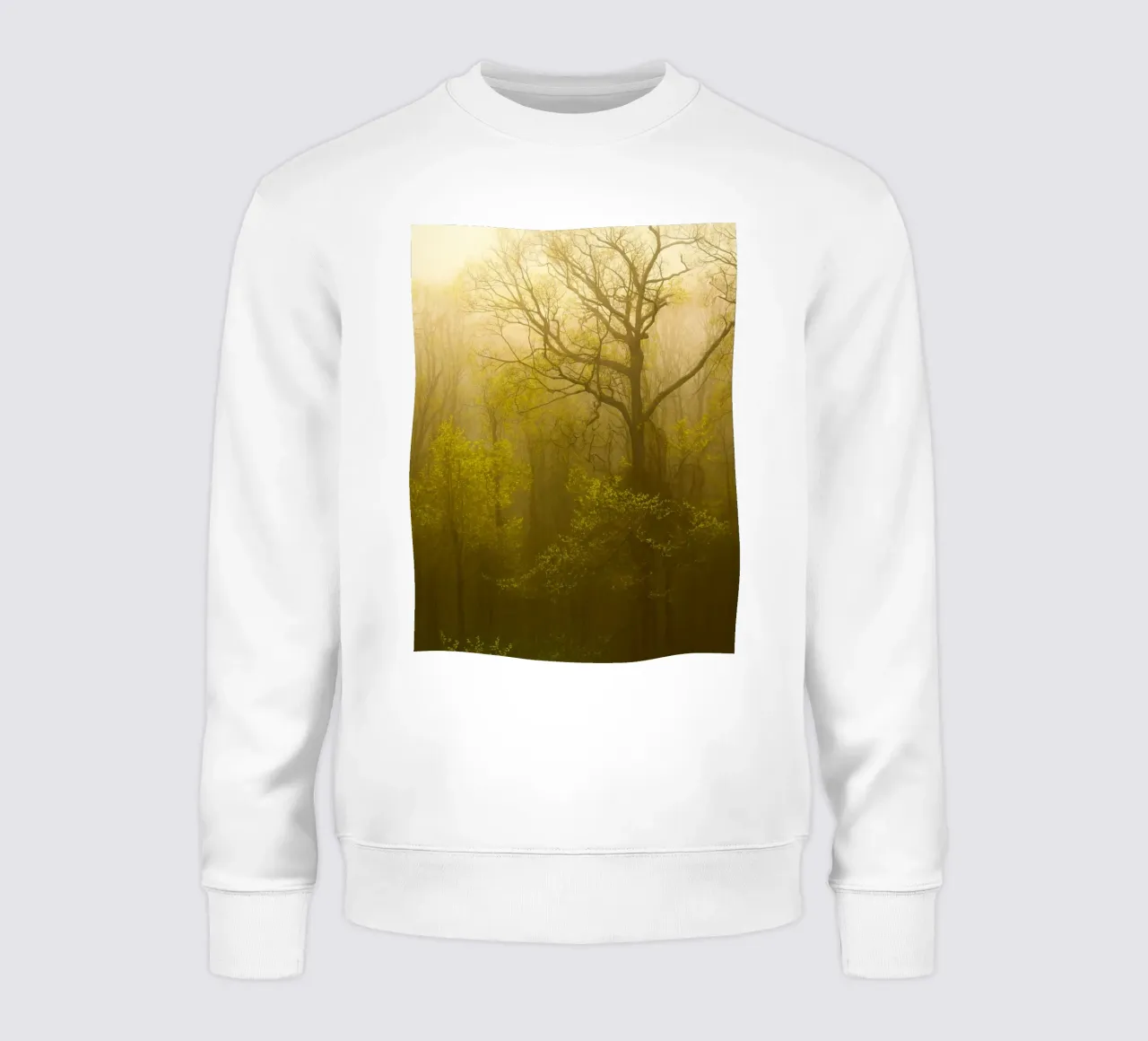 albero secco nella foresta felpa da onelife