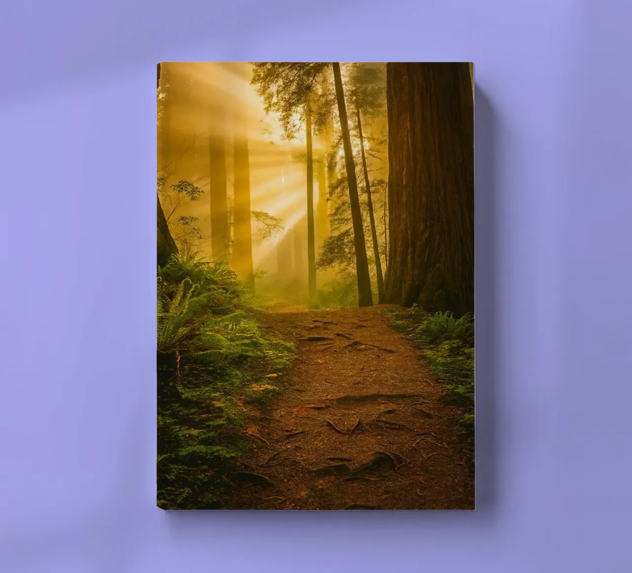 path road in the forest notebook by onelife