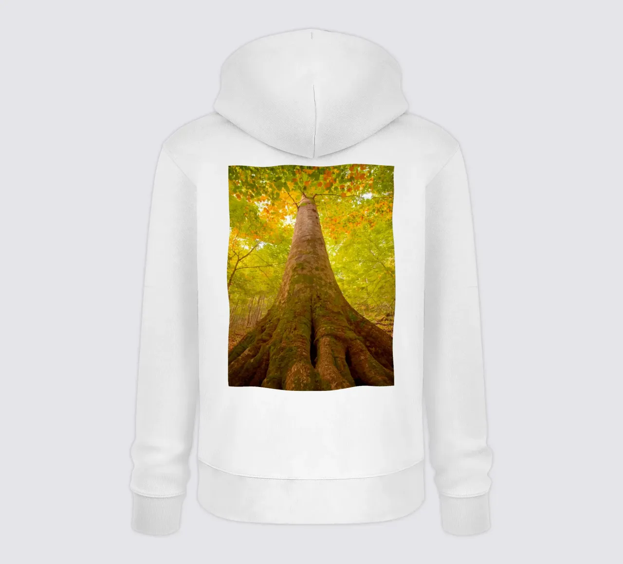 vecchio grande albero felpa con cappuccio da onelife