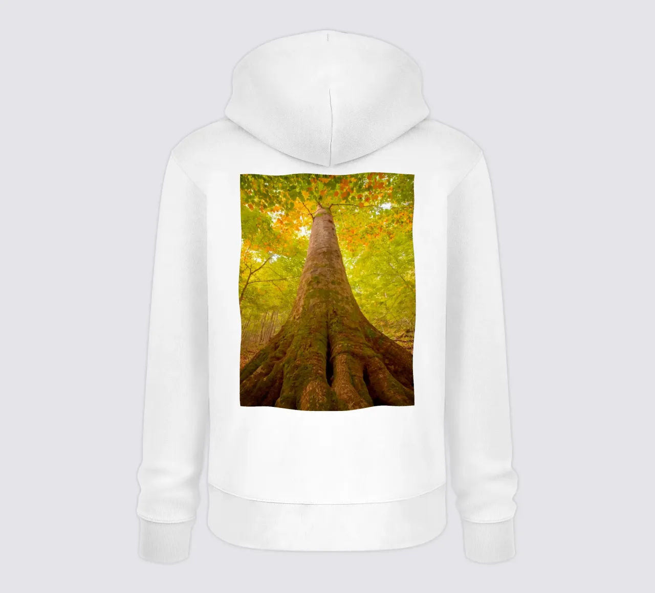 vecchio grande albero felpa con cappuccio da onelife