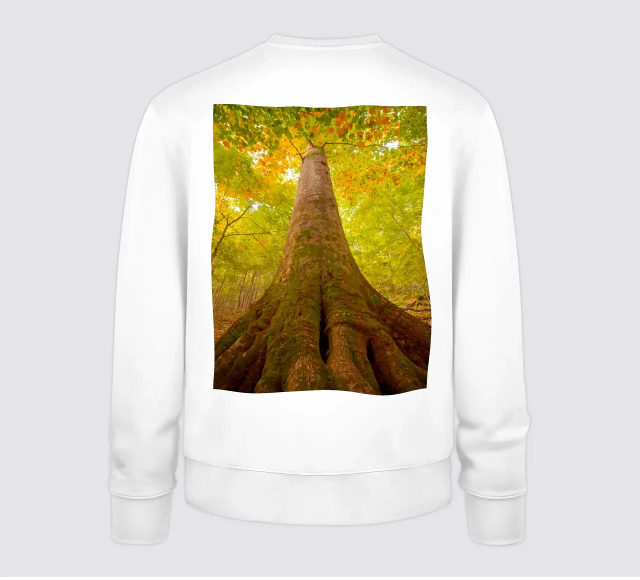 vecchio grande albero felpa da onelife