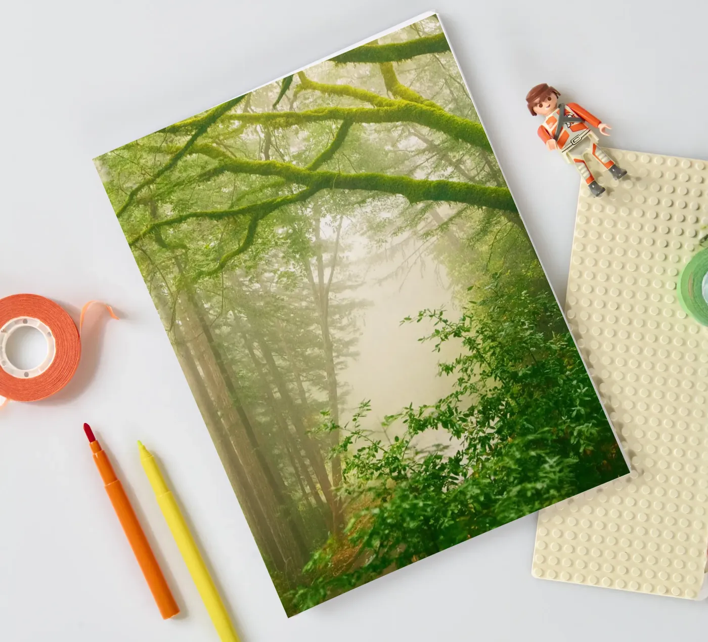 forrest notebook by onelife