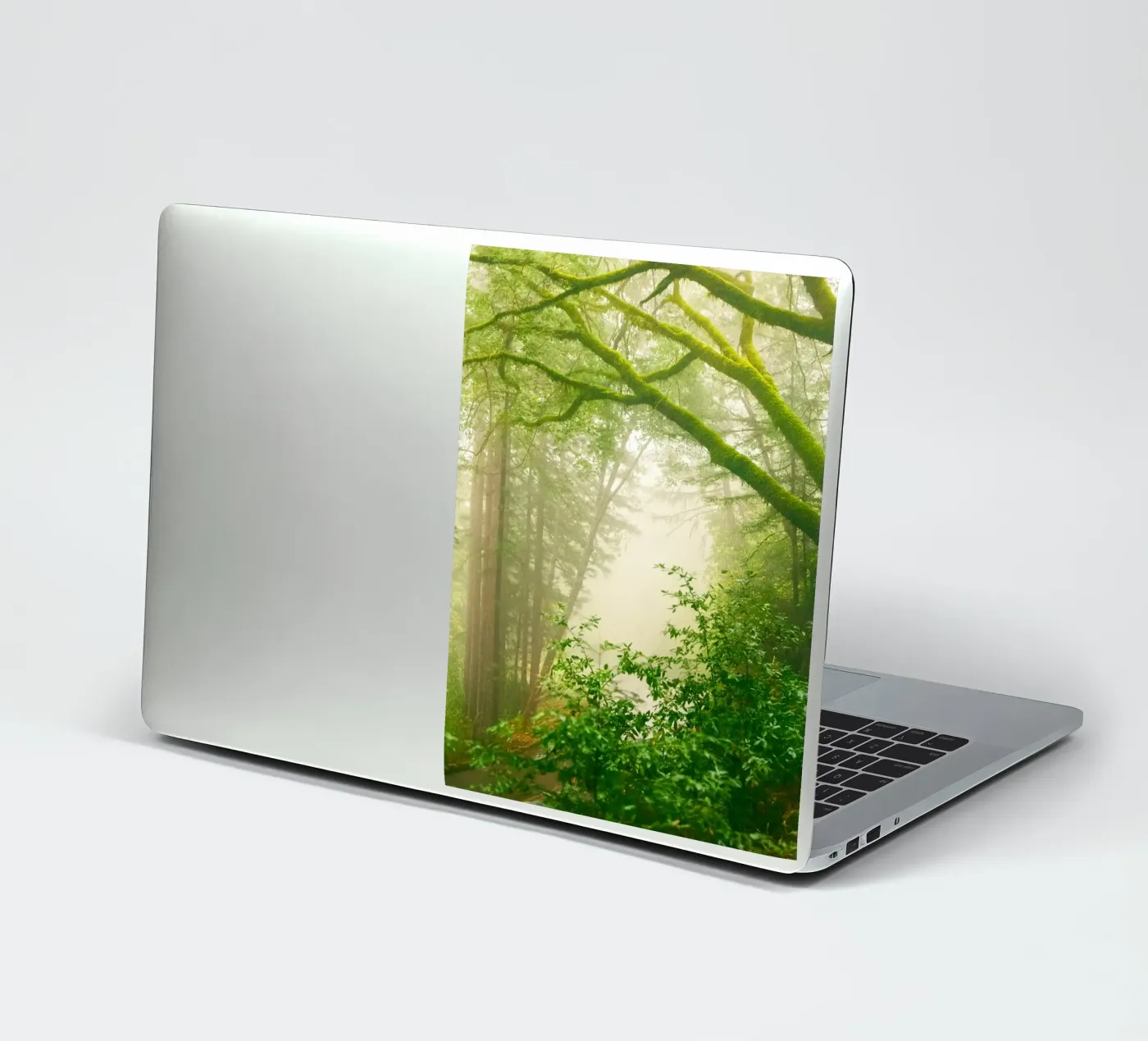 forrest sticker van onelife