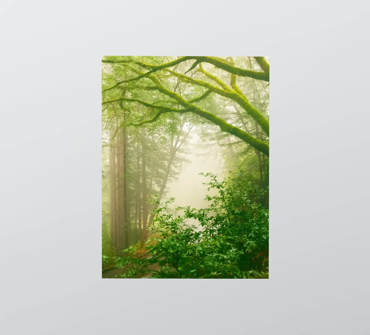 forrest sticker by onelife