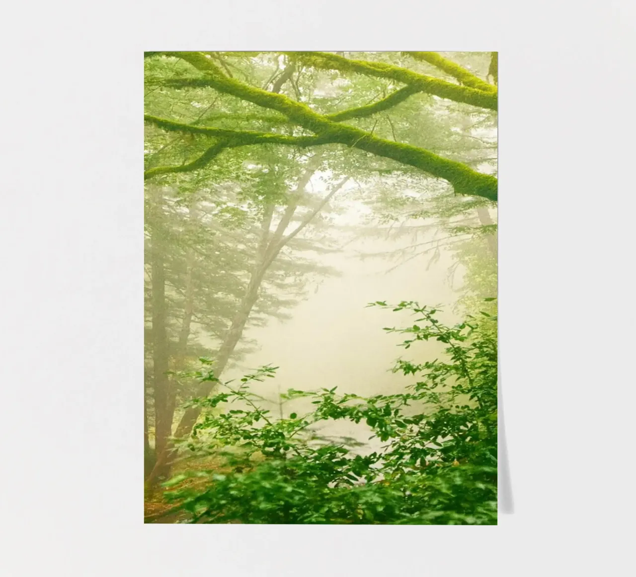 forrest sticker sheet by onelife