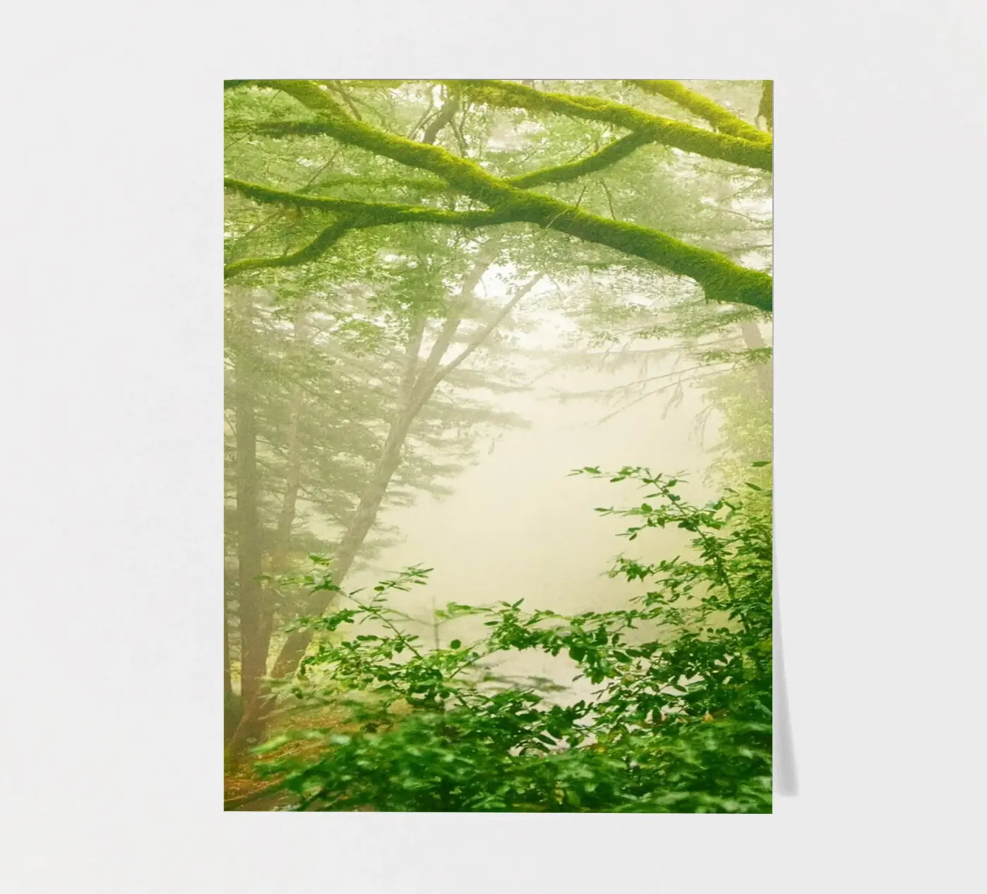 forêt planche autocollant de onelife