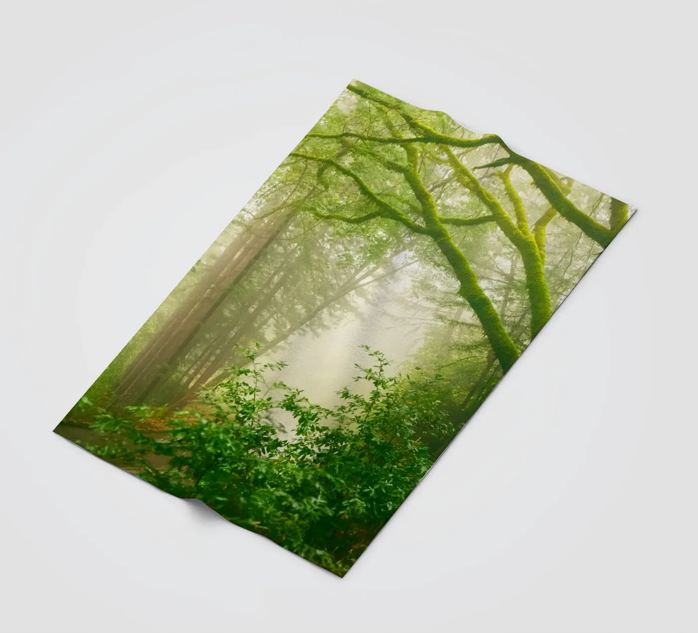 forrest coperta in pile da onelife