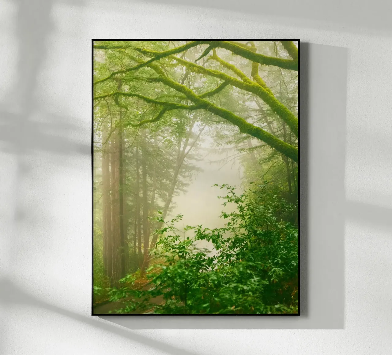 forêt plexiglas de onelife