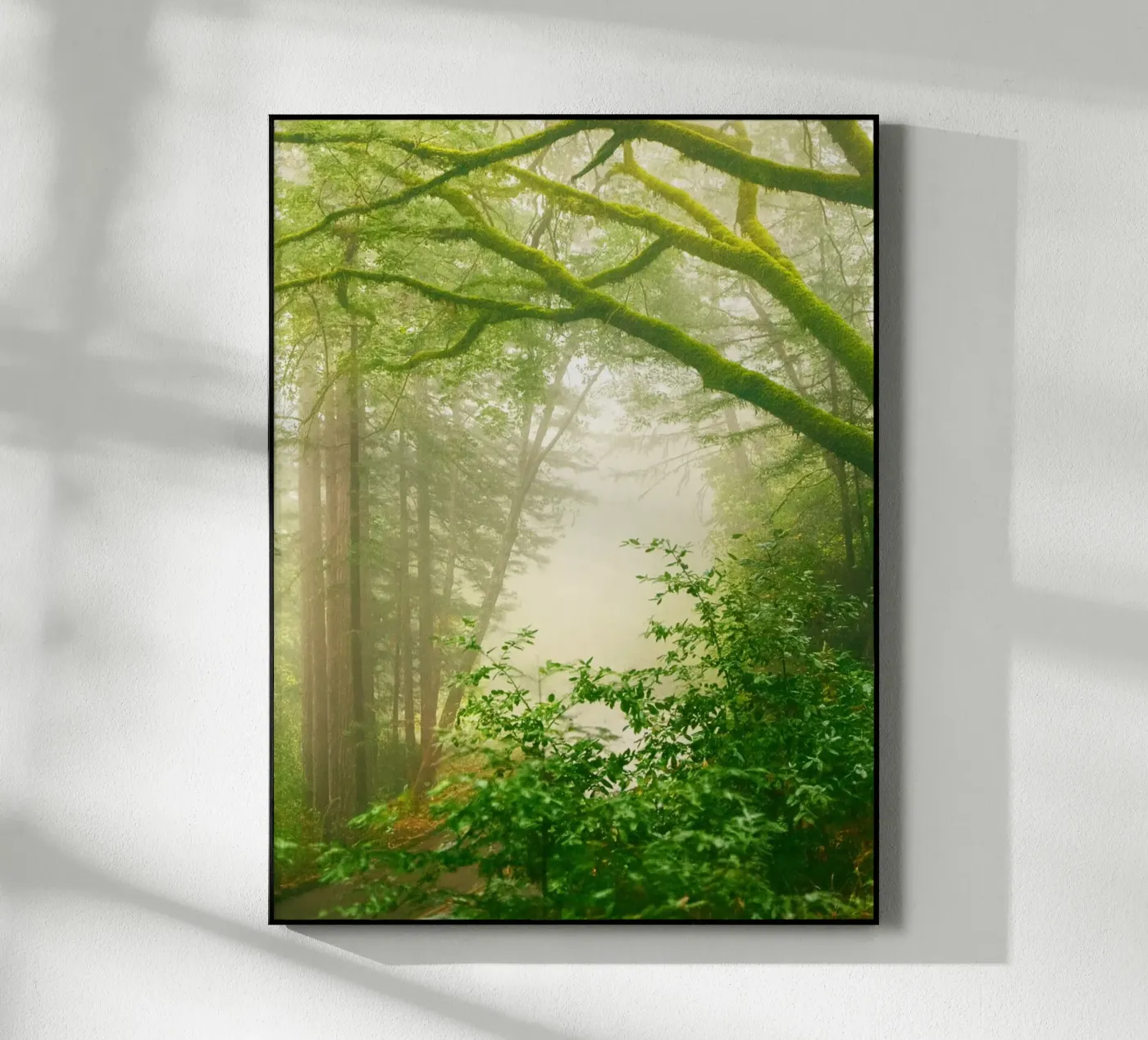 forrest acryl van onelife