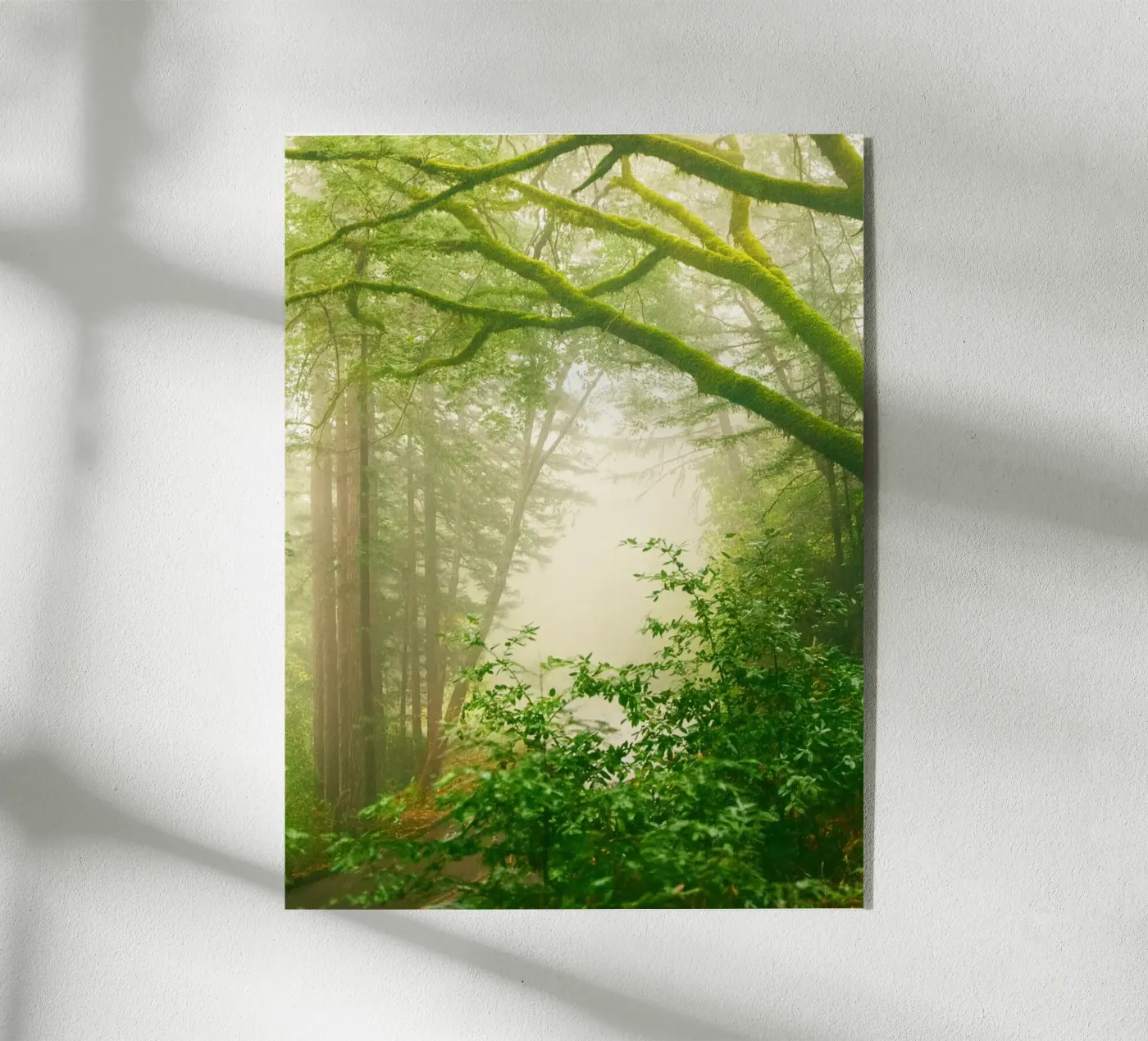 forrest acryl van onelife