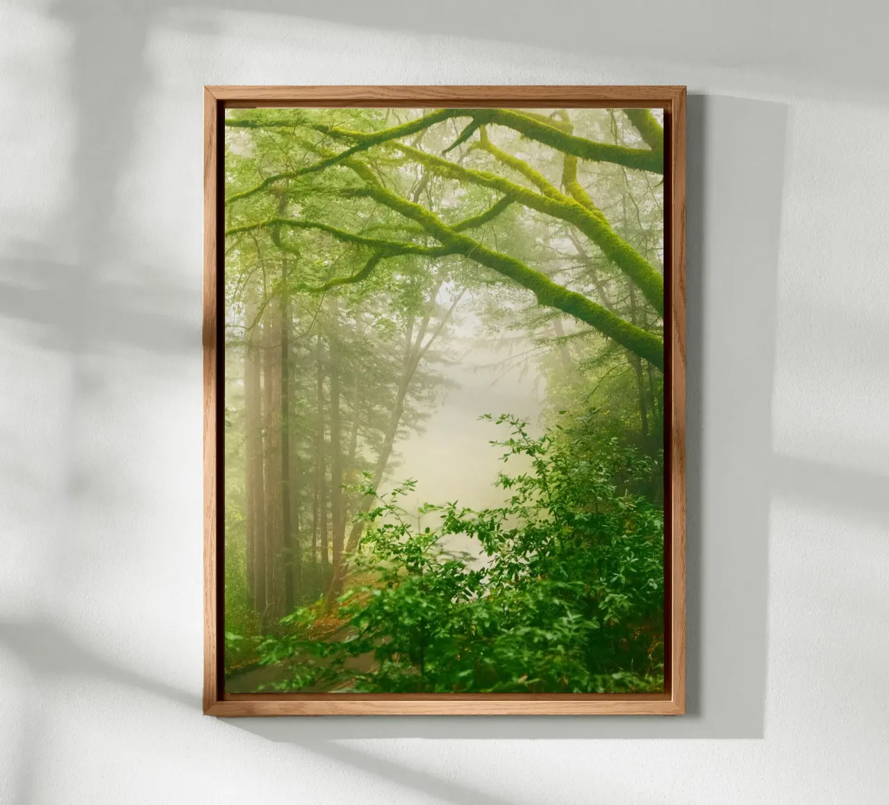 forrest forex plate by onelife