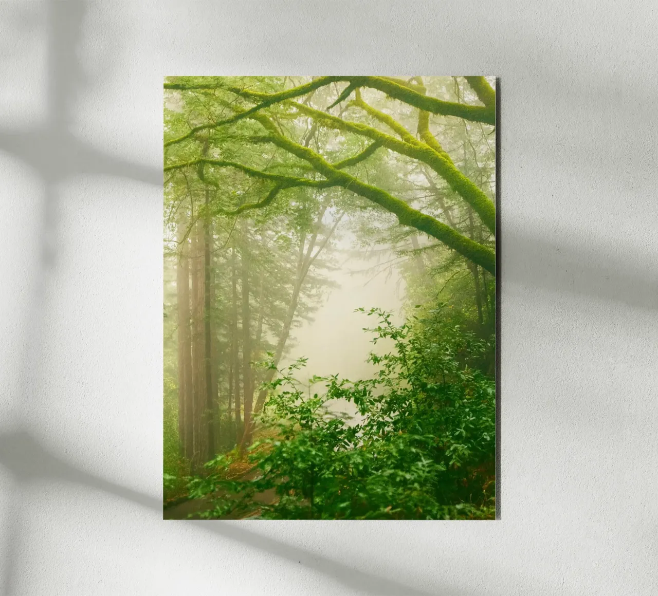 forrest forex plate by onelife