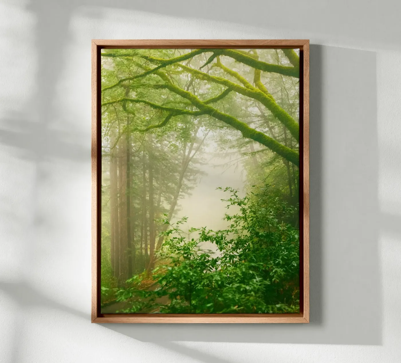 forrest canvas van onelife