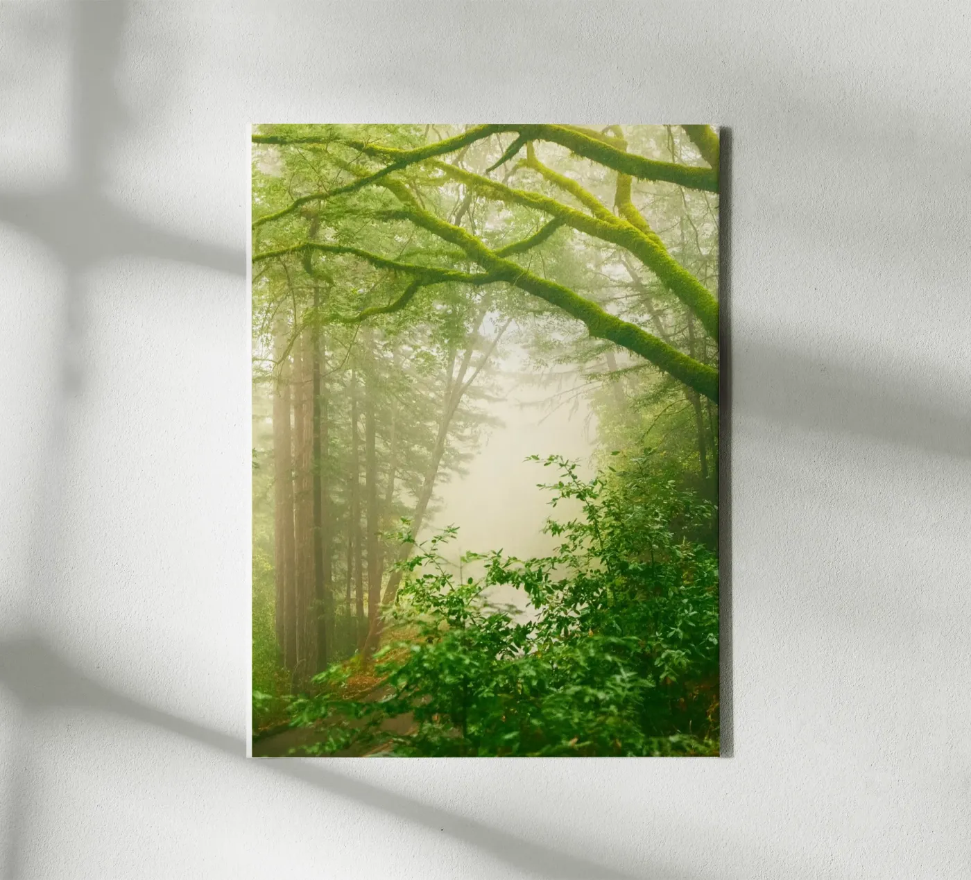 forrest canvas van onelife