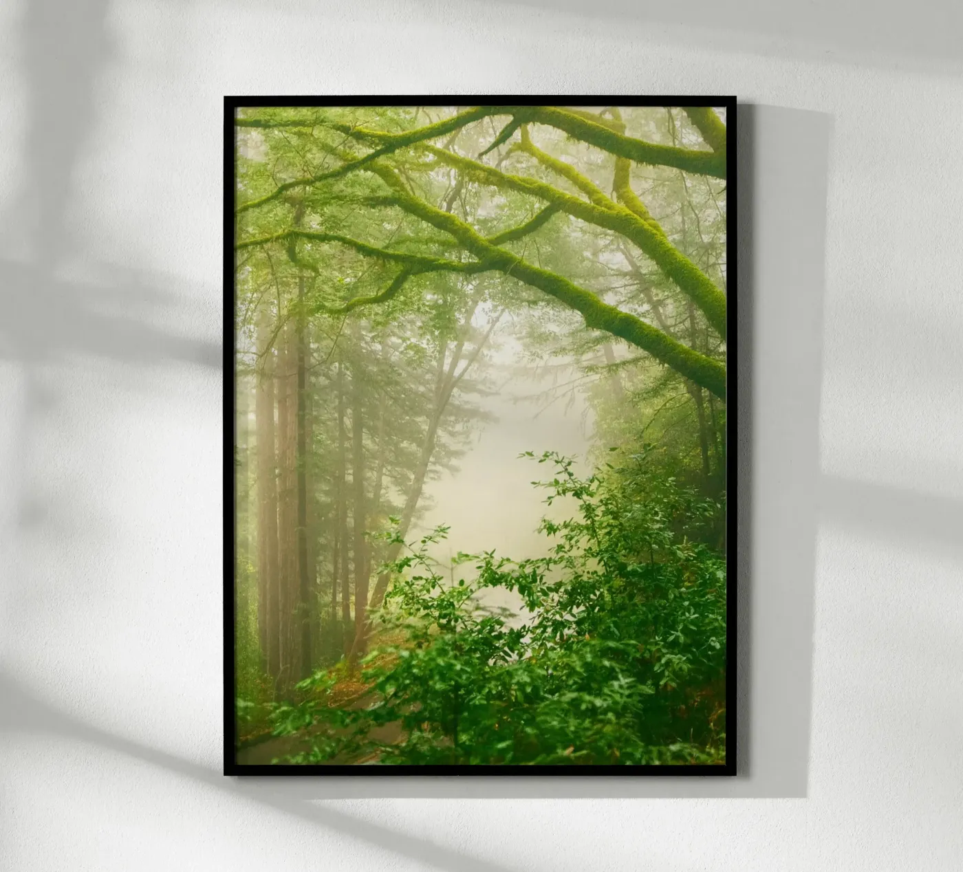 forrest poster by onelife