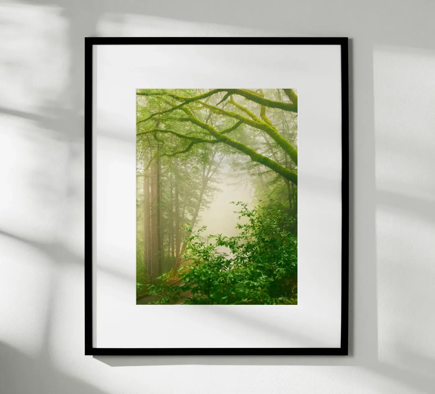 forrest poster by onelife