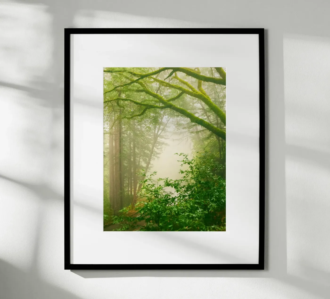 forrest poster van onelife