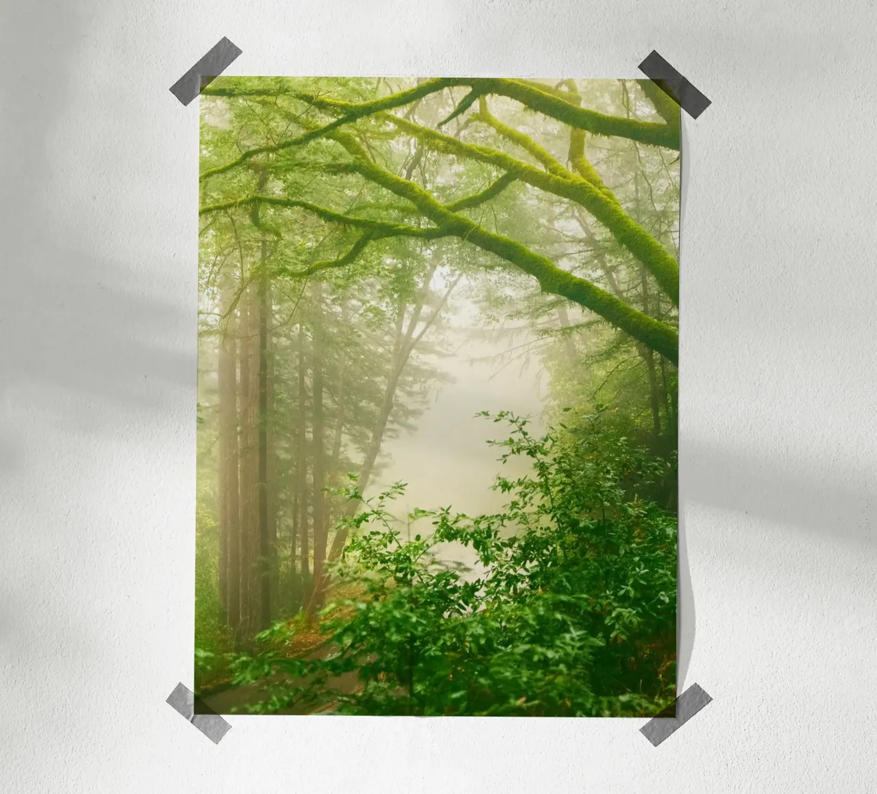 forêt poster de onelife