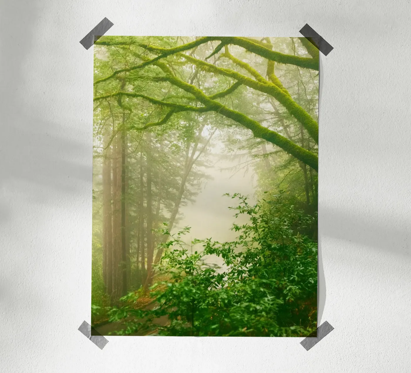 forrest poster van onelife