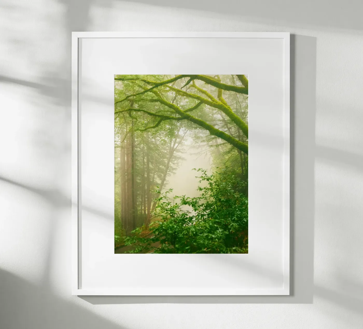 forrest poster van onelife