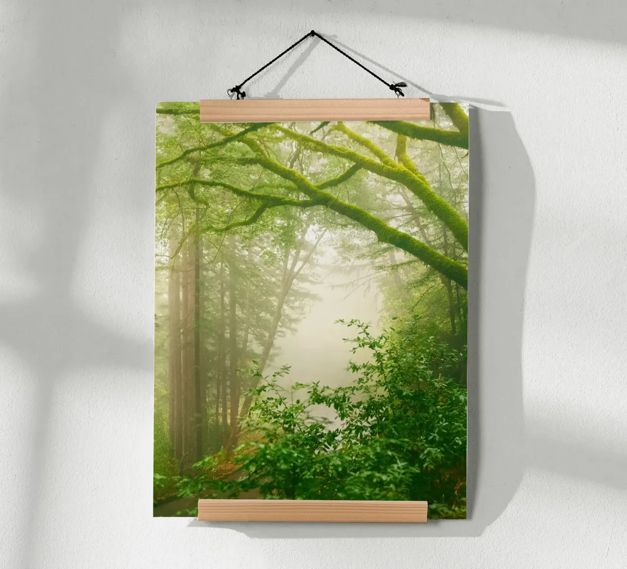 forêt poster de onelife