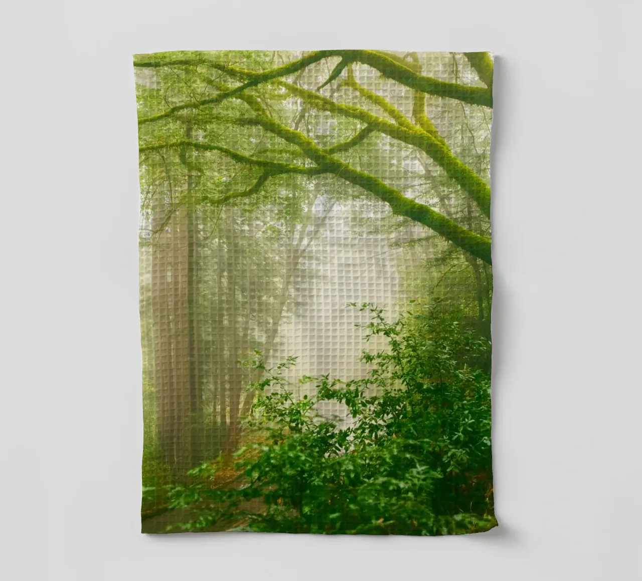 forêt torchon de onelife