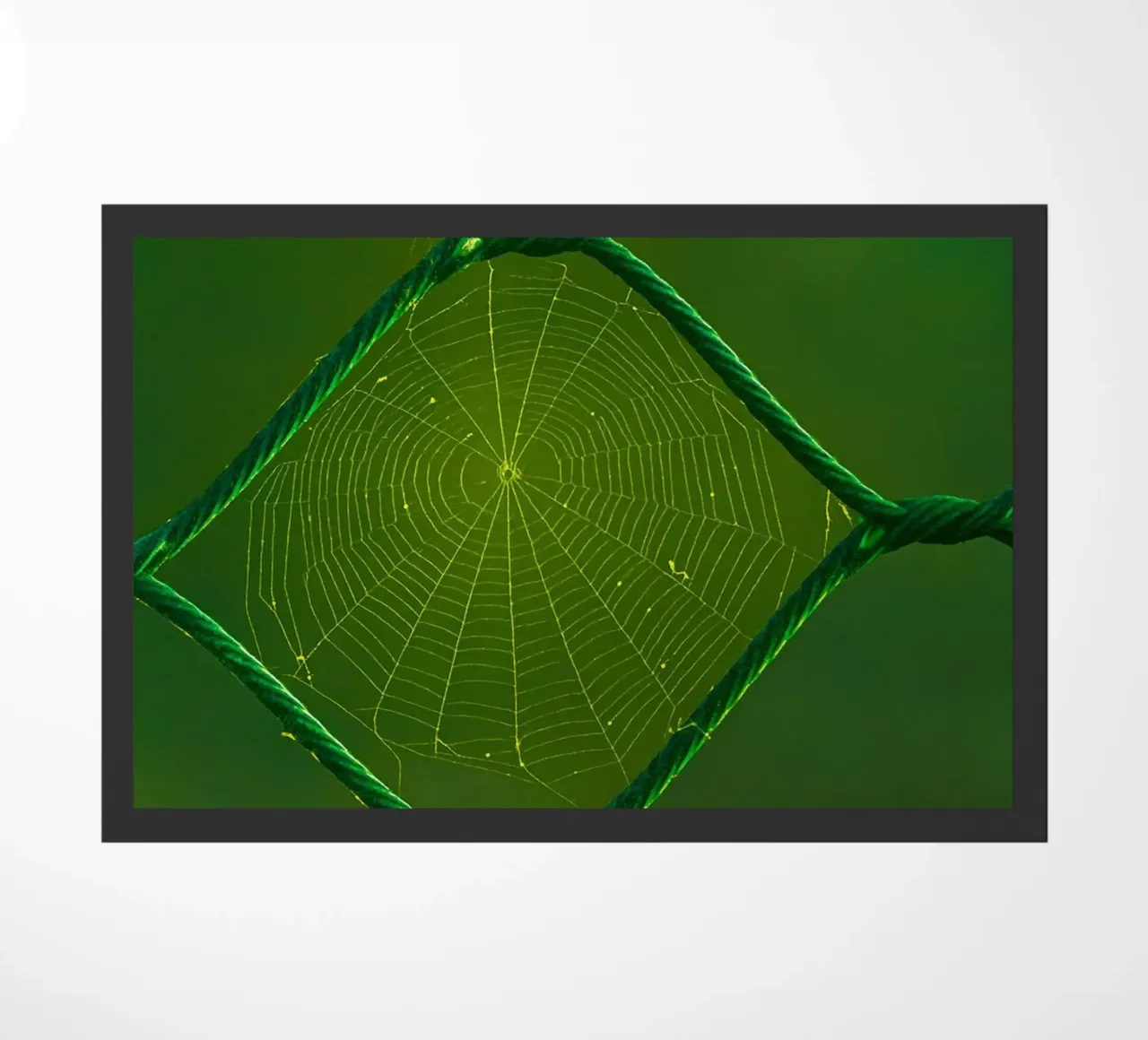 spider web doormat by onelife