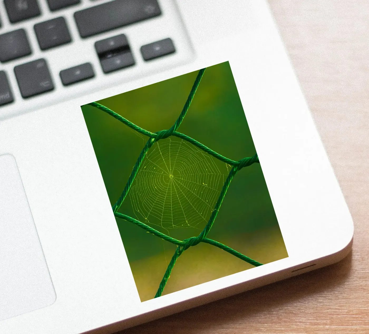 spinnenweb sticker van onelife