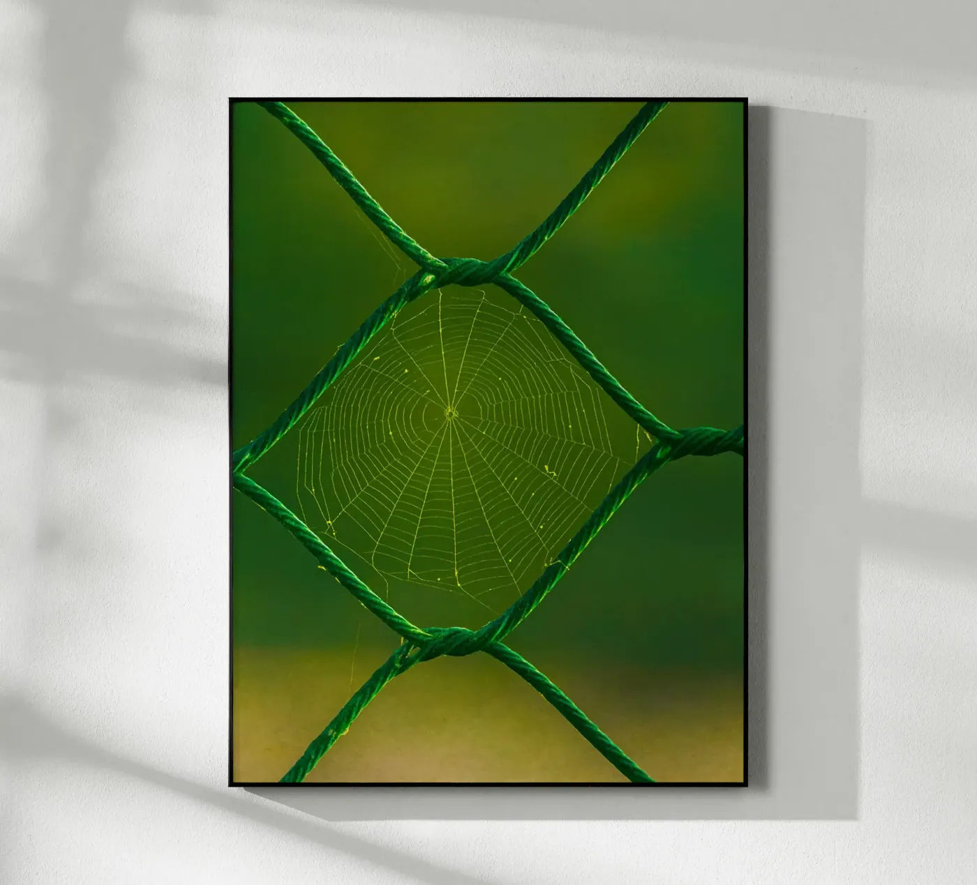 spider web Acryl-Glas von onelife