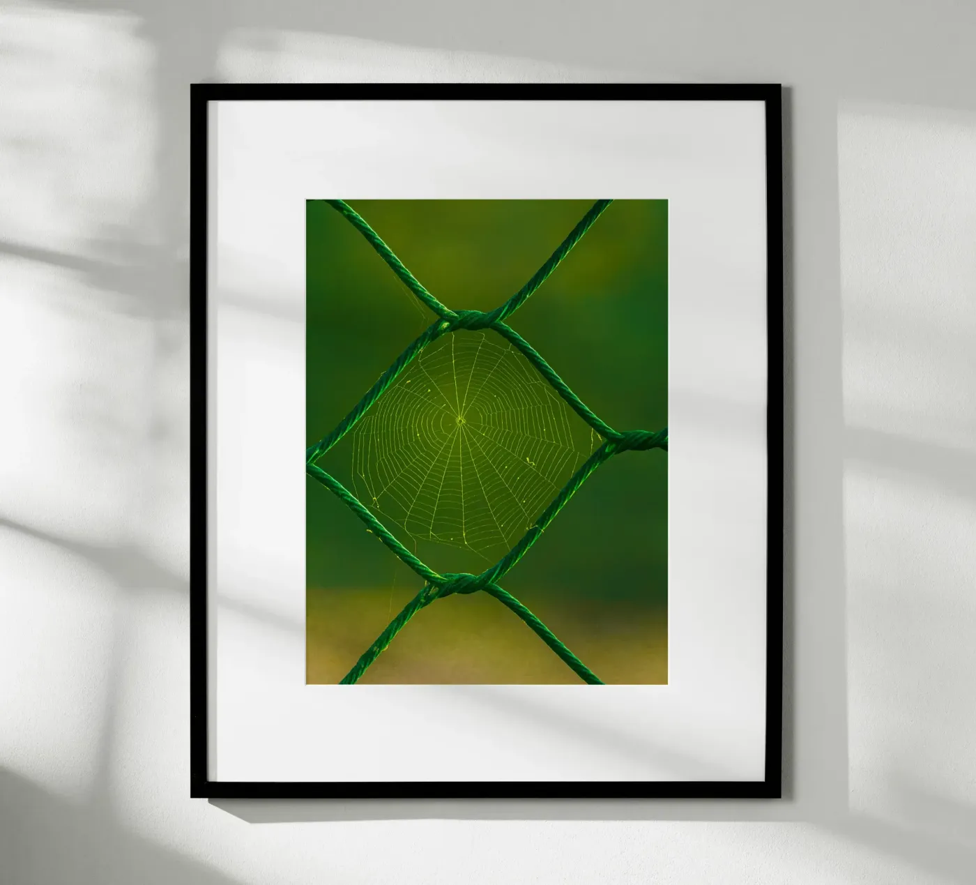 ragnatela poster da onelife