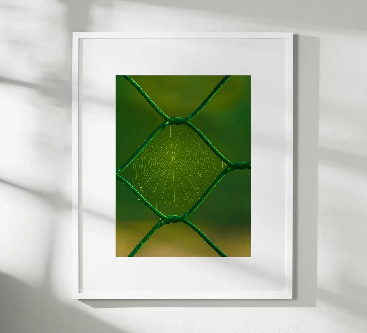 spider web poster by onelife